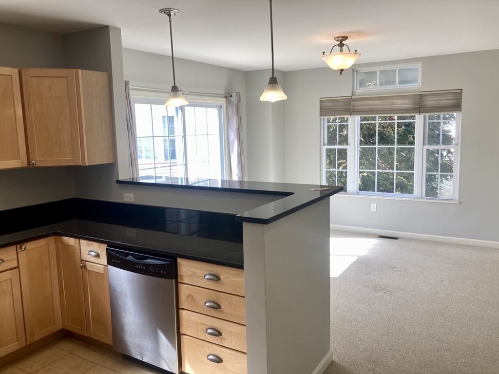 45 Turtle Brook Rd # 45