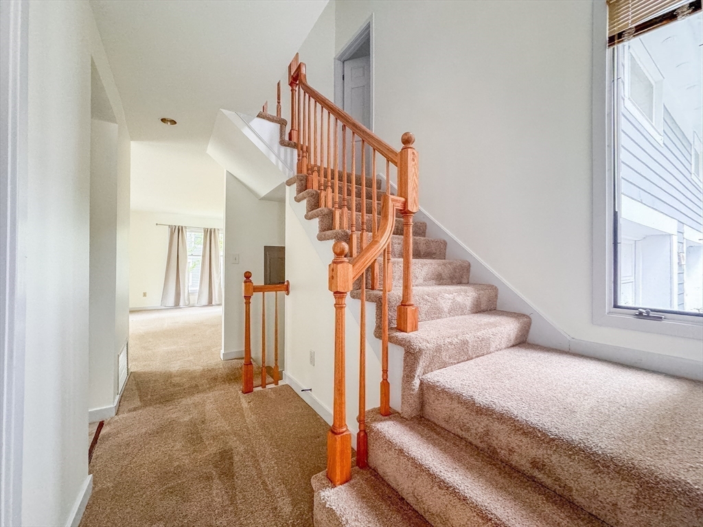 5 Oak Ct # 5