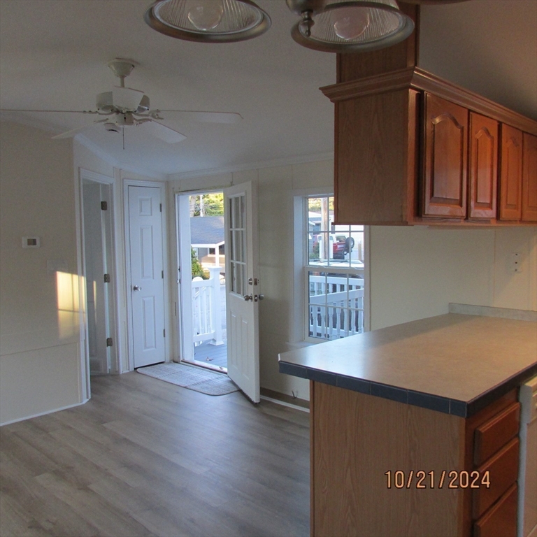 7 Stella Drive