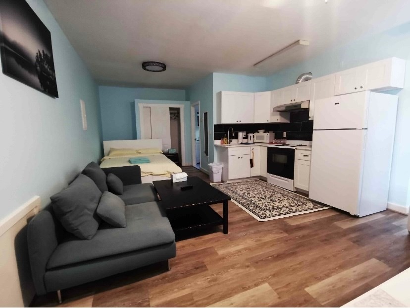 Furnished studio apartment with a gray sofa, bed, and compact white kitchen.