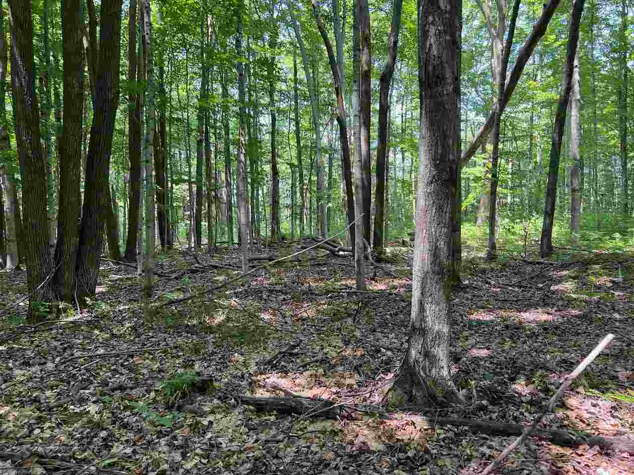 3253 Vineyard Court Unit: 17