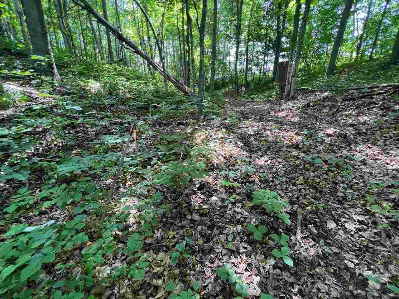 3253 Vineyard Court Unit: 17