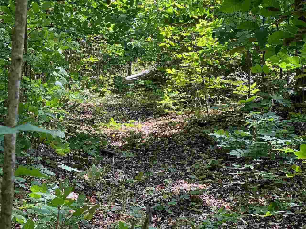 3253 Vineyard Court Unit: 17