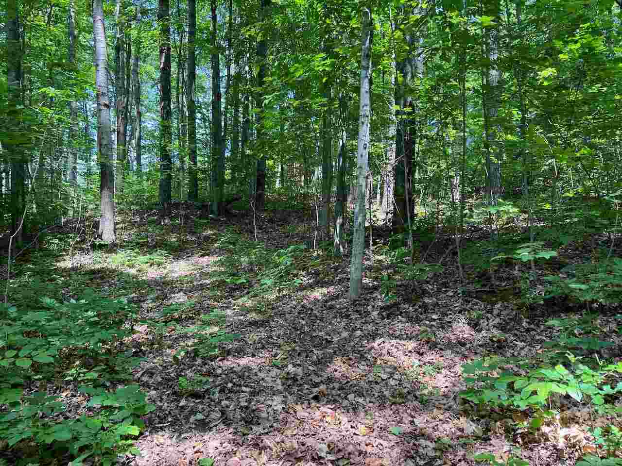 3253 Vineyard Court Unit: 17