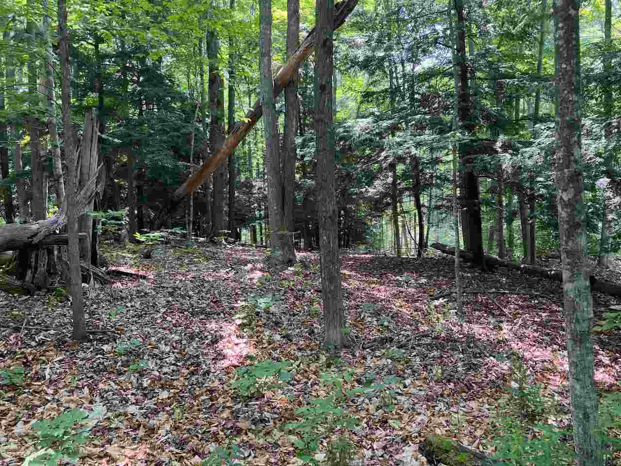 3253 Vineyard Court Unit: 17