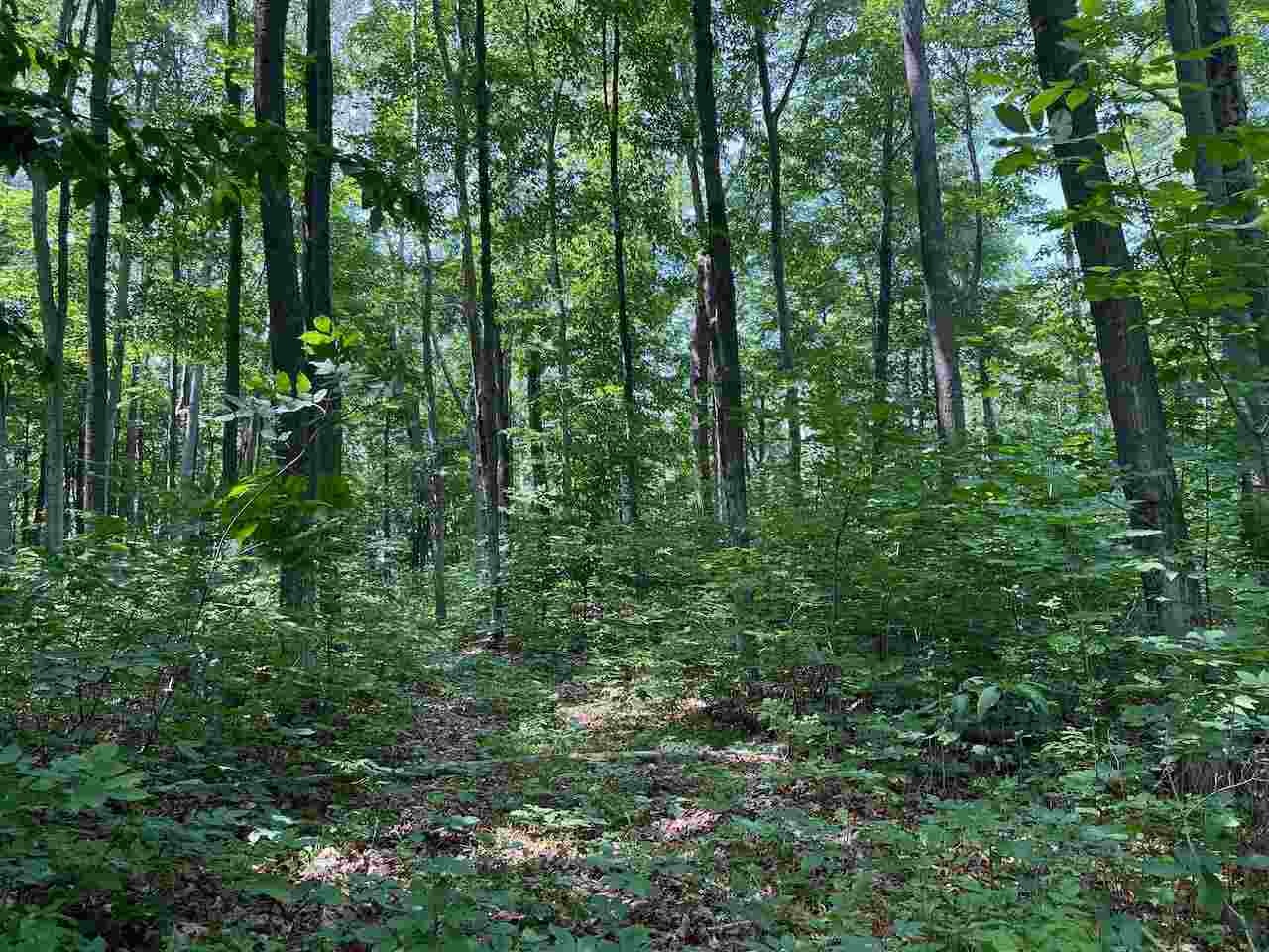 3253 Vineyard Court Unit: 17