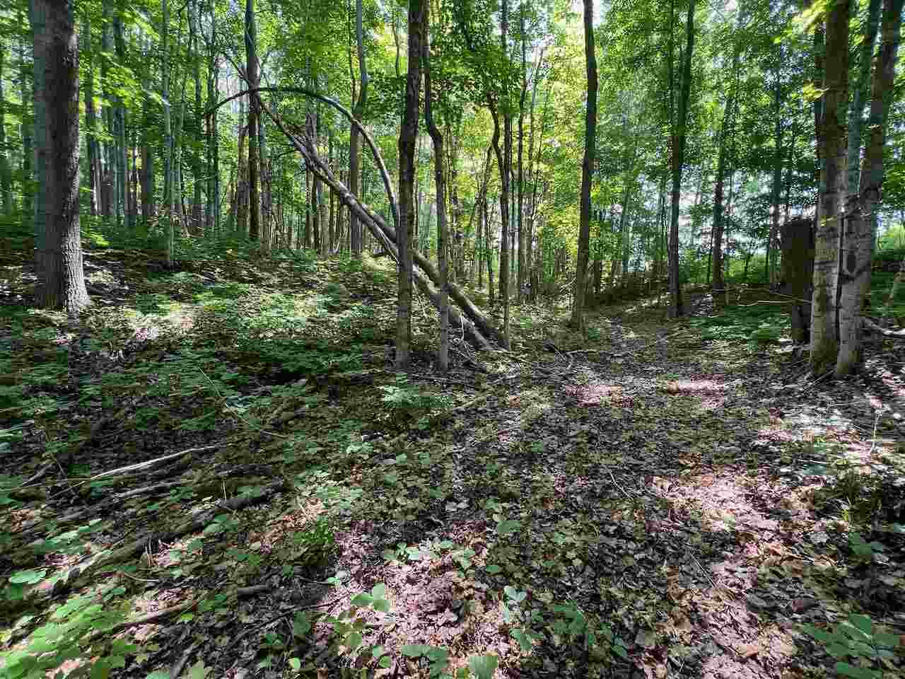 3253 Vineyard Court Unit: 17