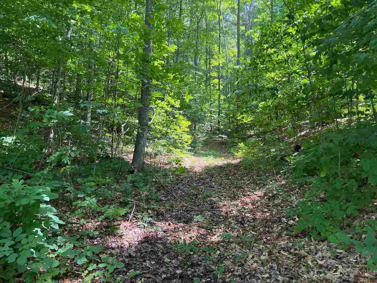 3253 Vineyard Court Unit: 17