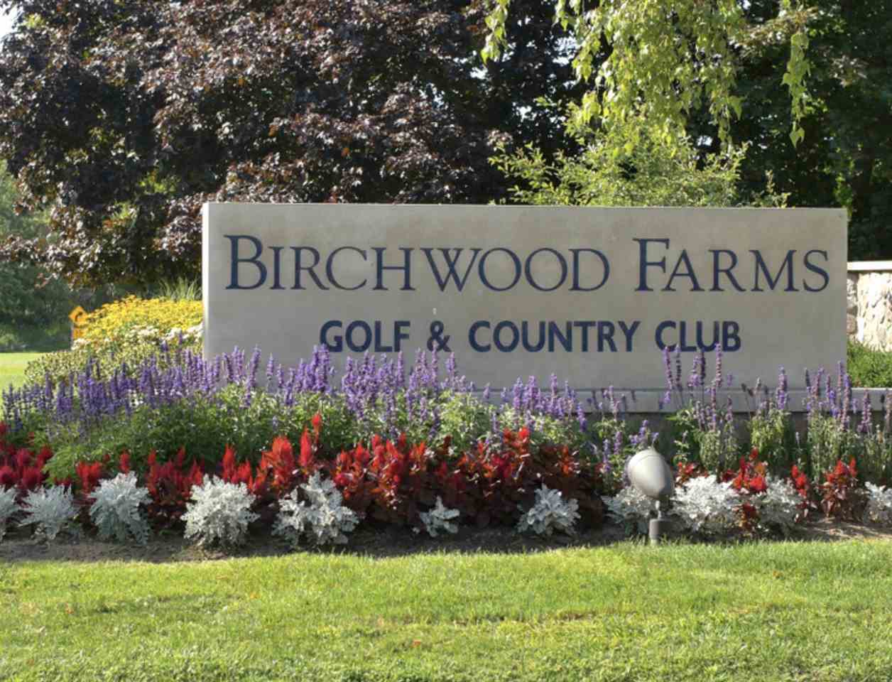 Harbor Springs Water View 