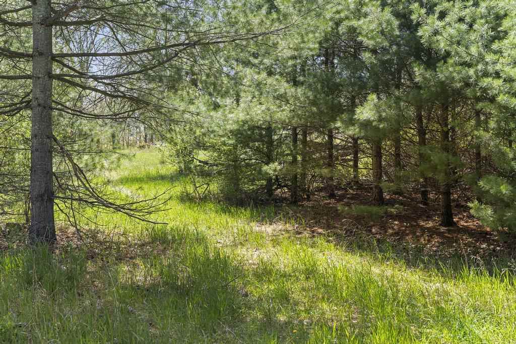 TBD Boyne City Road