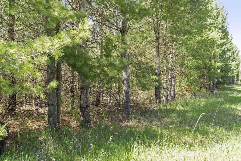 TBD Boyne City Road
