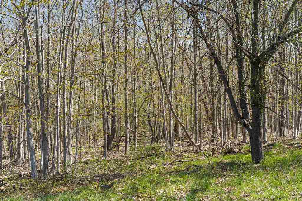 TBD Boyne City Road