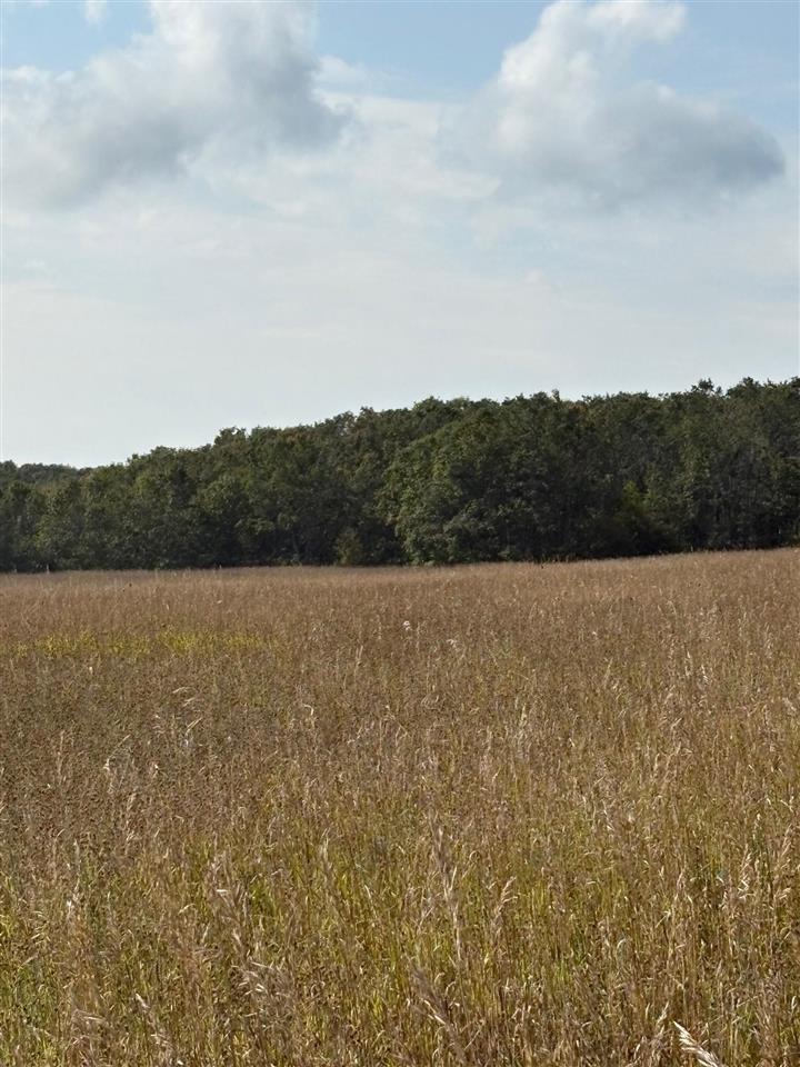 TBD Resort Pike Road