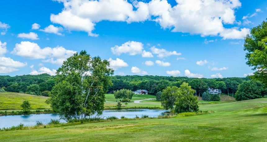 1267 Pine Tree Trail