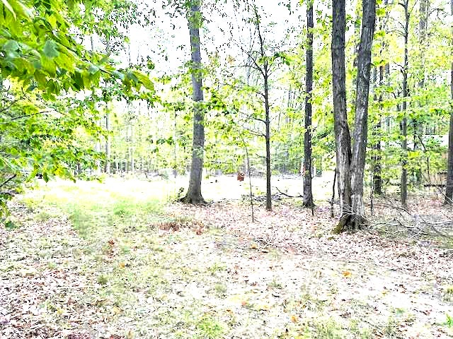 7650 Blackwood Court