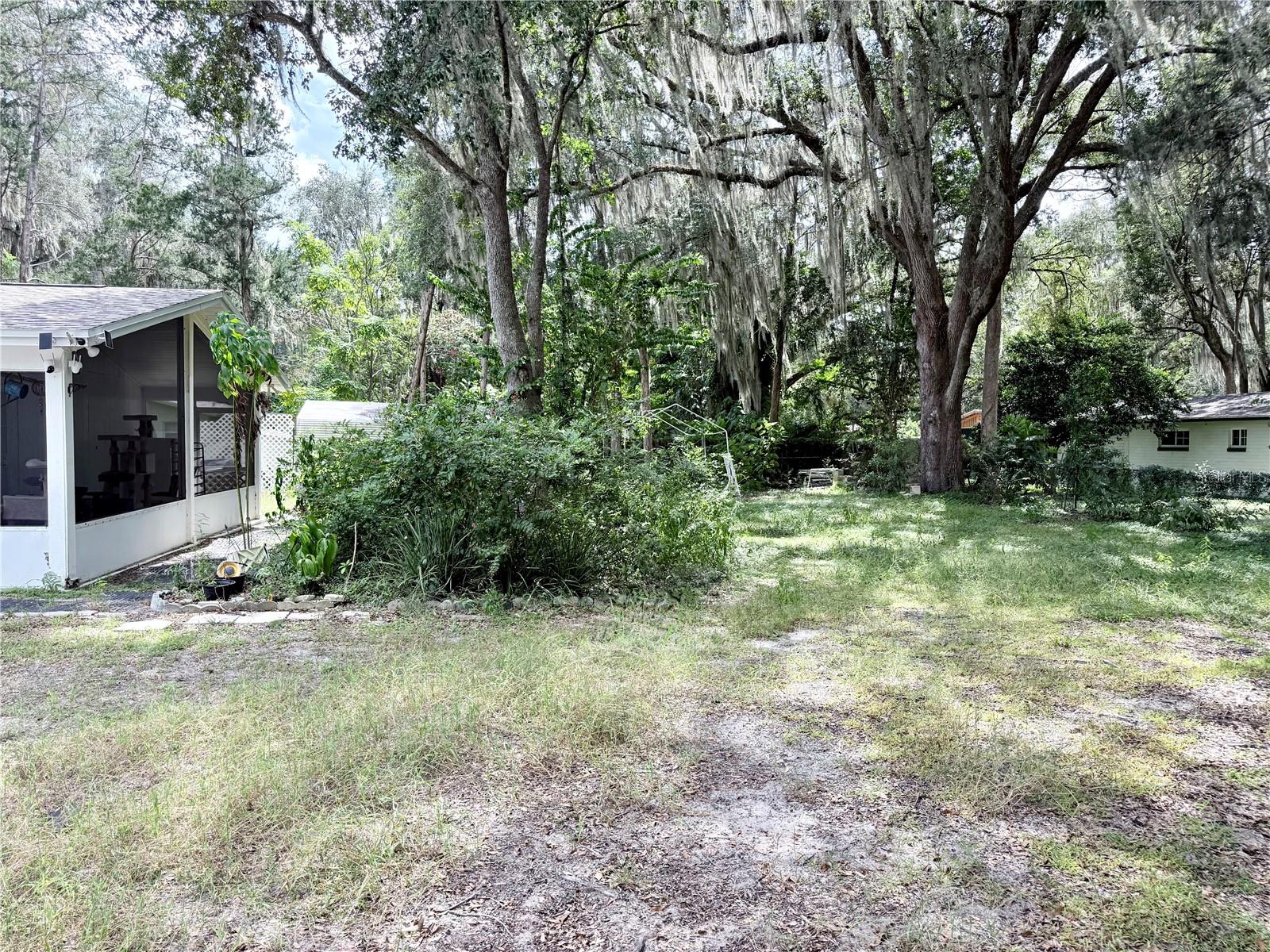 Shaded backyard with a screened porch, grassy clearing, and mature Spanish moss-draped trees.