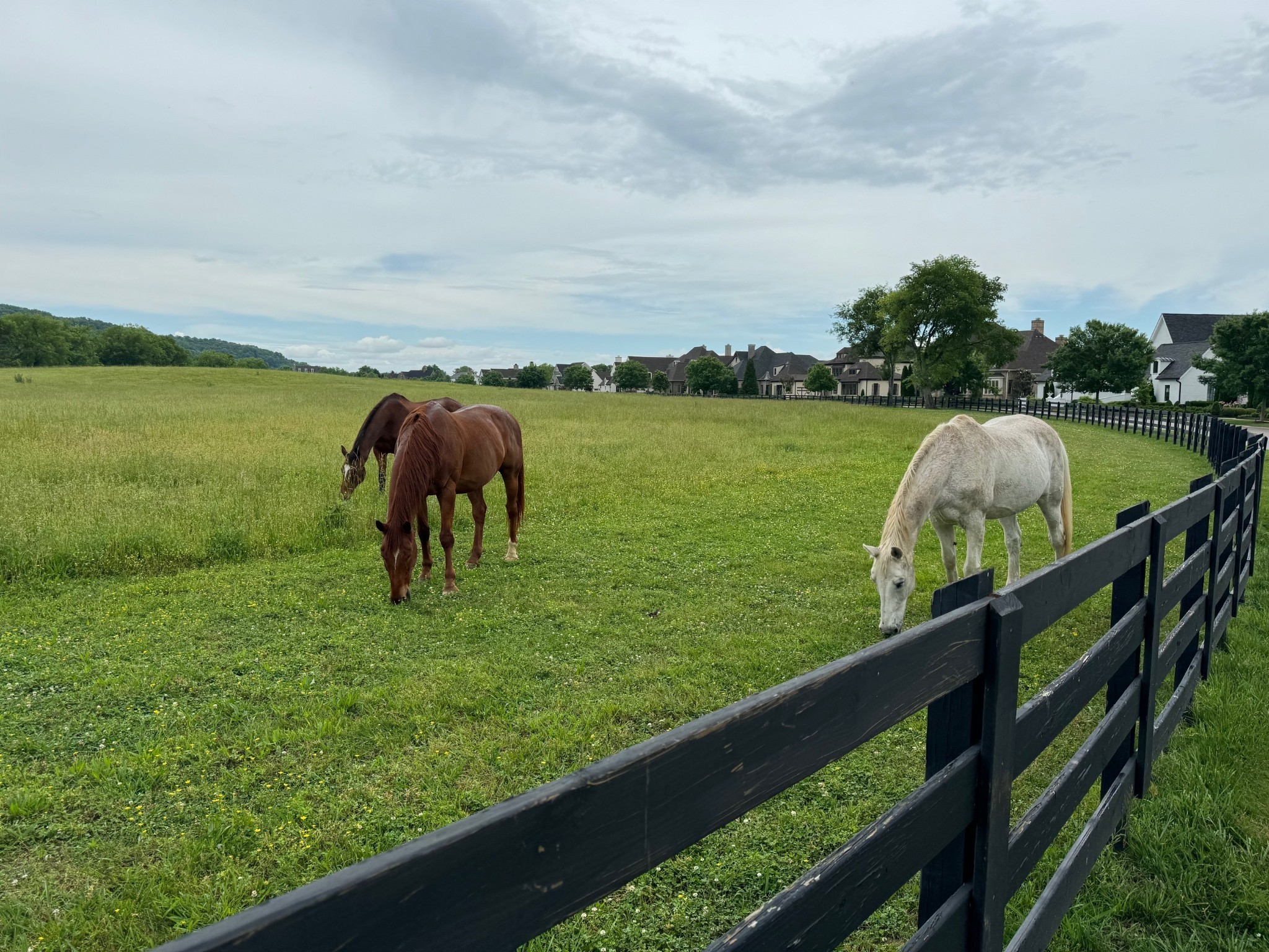 6017 Native Pony Trl