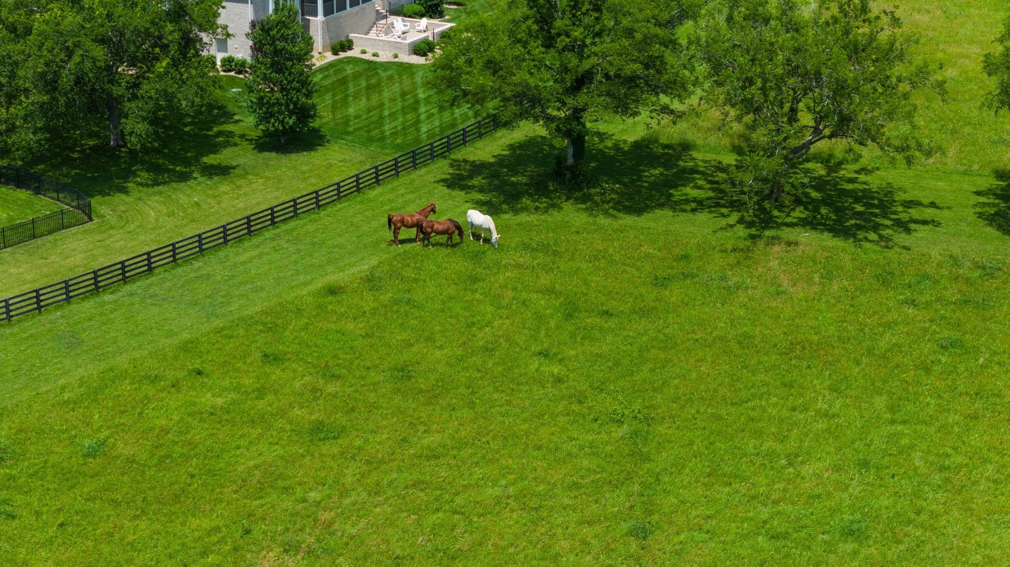 6017 Native Pony Trl