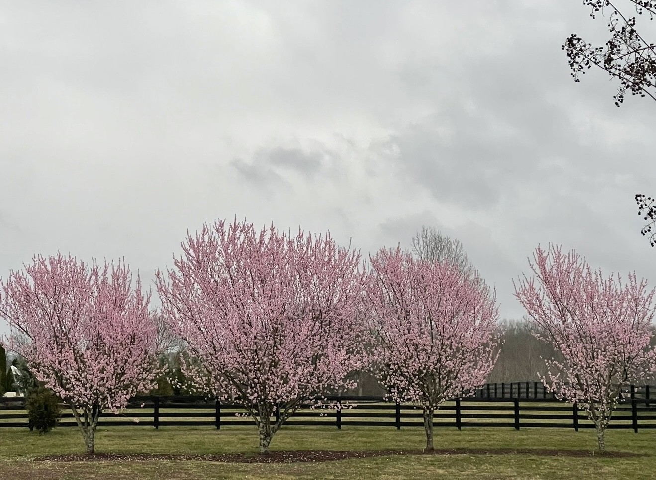 5540 Hawks Landing Dr