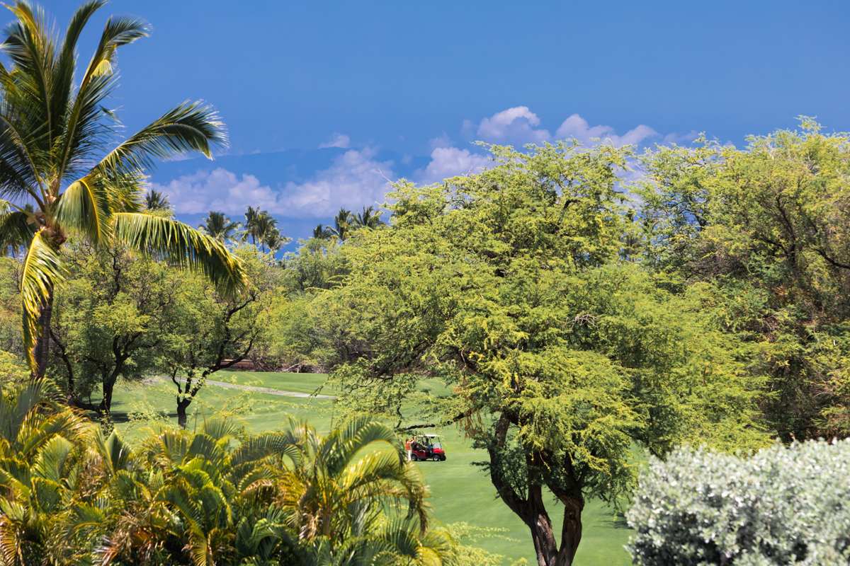 68-1025 KANIKU DR 301