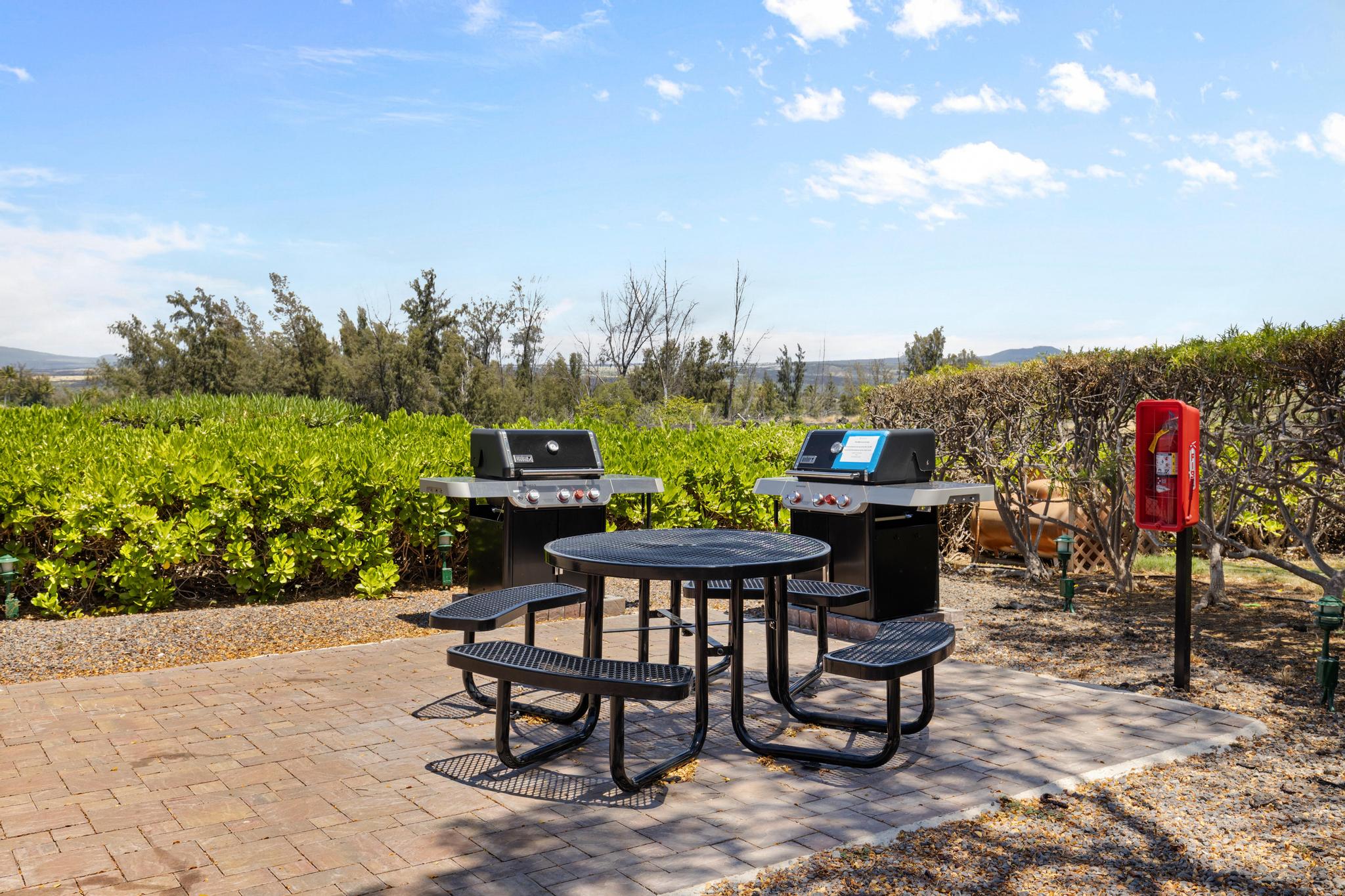 69-1035 KEANA PL 311