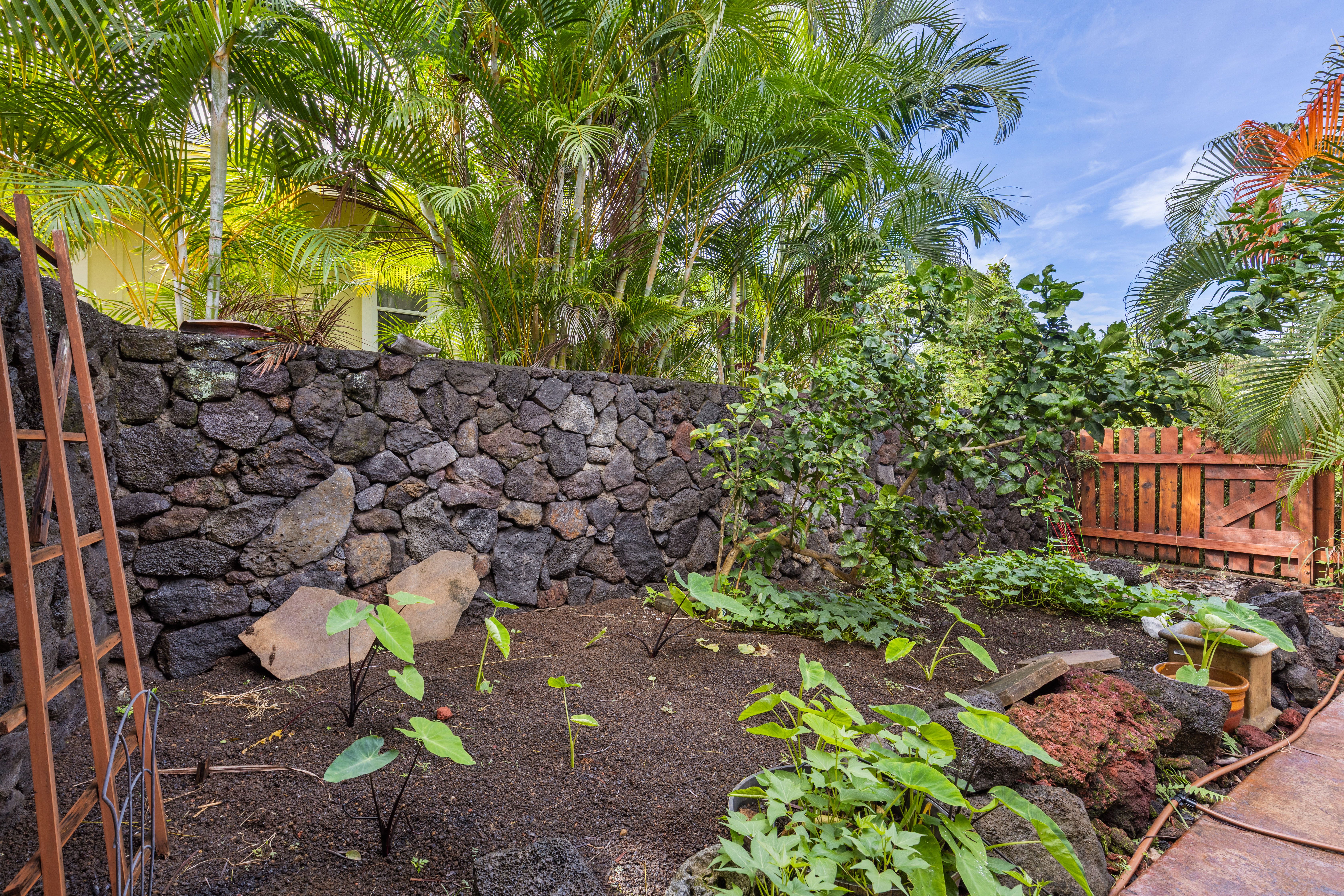 75-6204 HOOKUKU MOHO PL