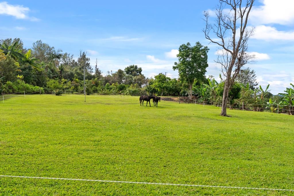 Grassy property field with two horses, tropical vegetation, and a tall bare tree.