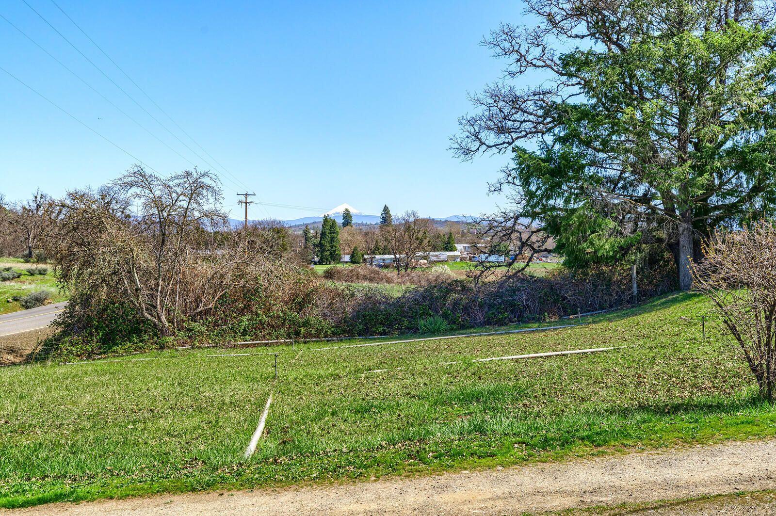 895 Nick Young Road