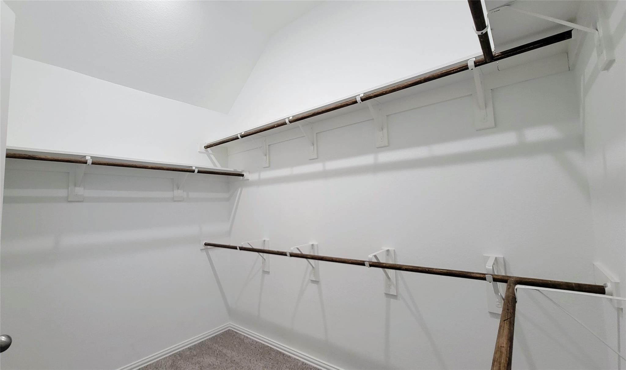 1033 Leadtree LOOP