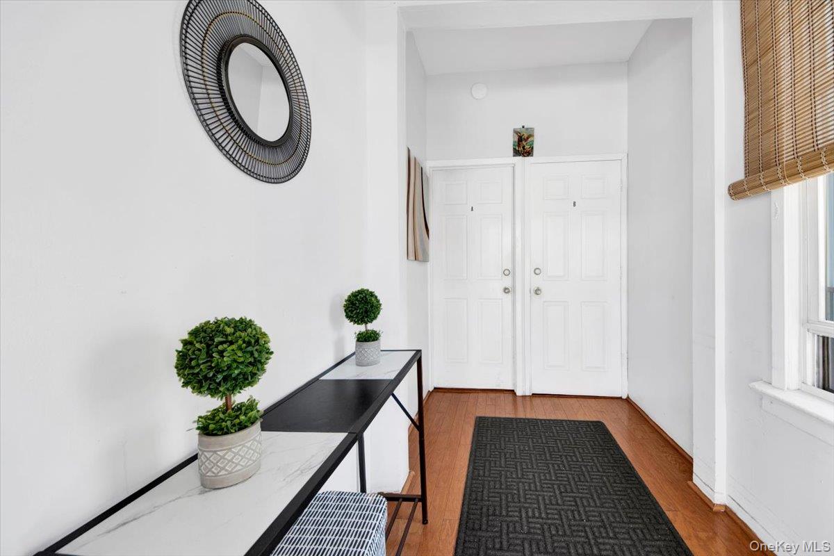 1573 Hollywood Avenue