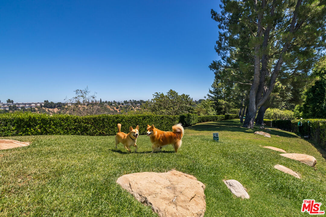 11742 Ipswich Ct
