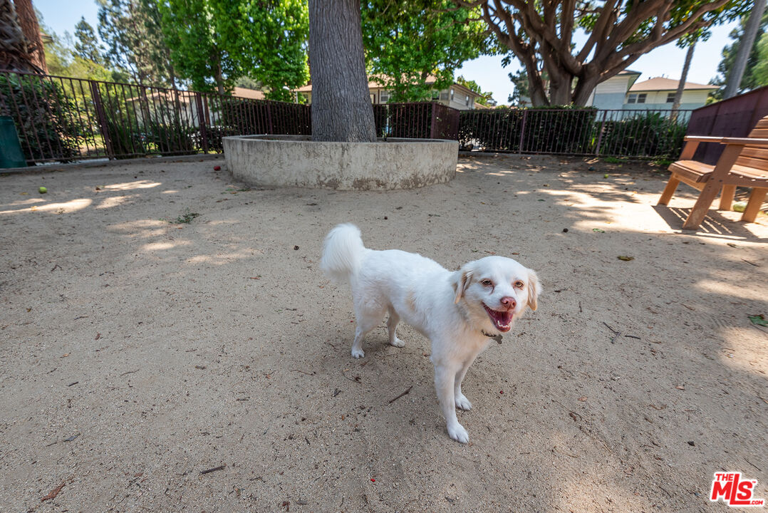 5882 Bowcroft St Unit: 3