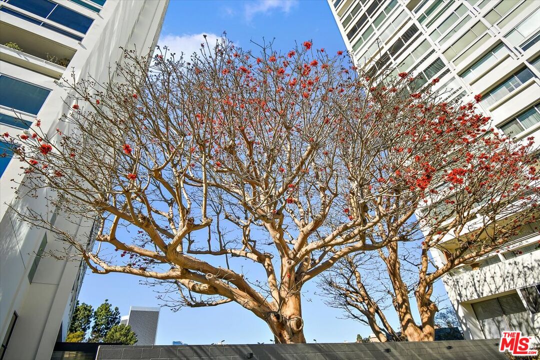 2222 Avenue Of The Stars Unit: 1203