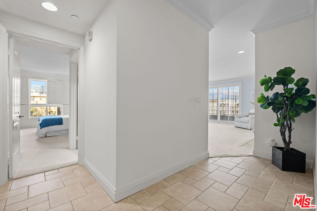 1830 Pelham Ave Unit: 301