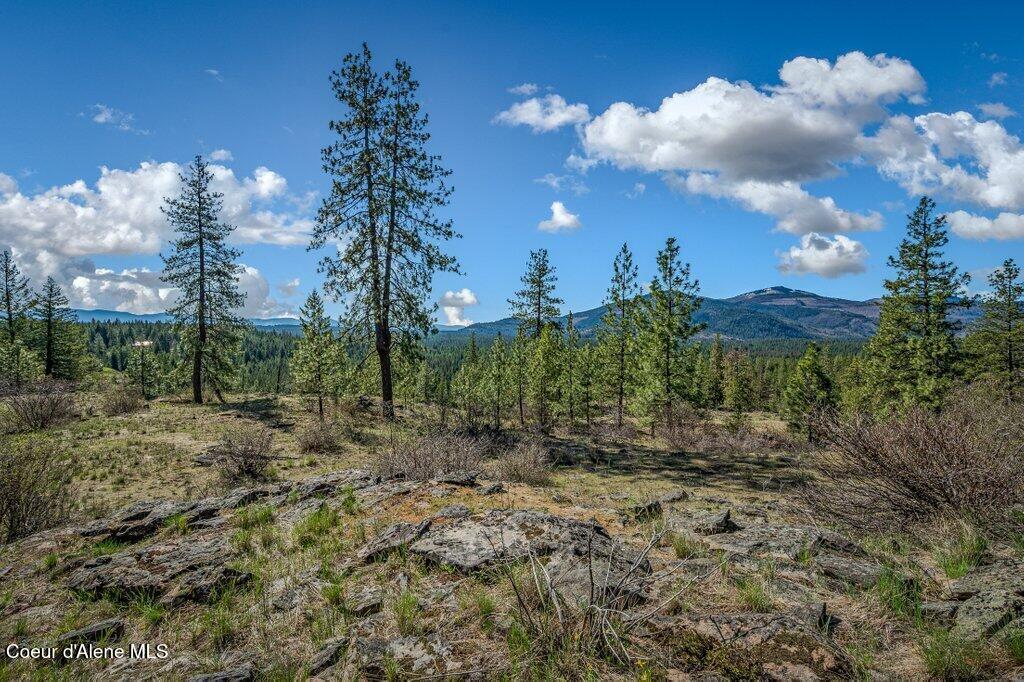 NKA Timbered Ridge Rd