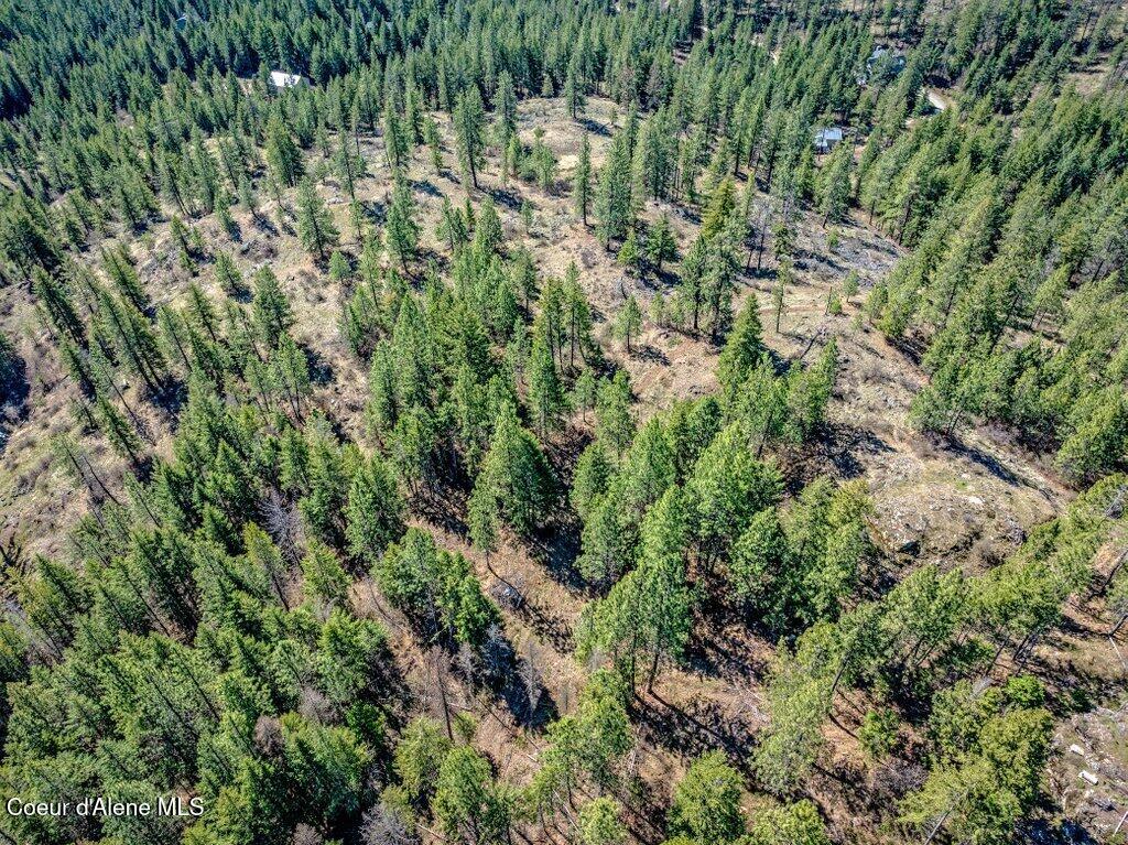NKA Timbered Ridge Rd