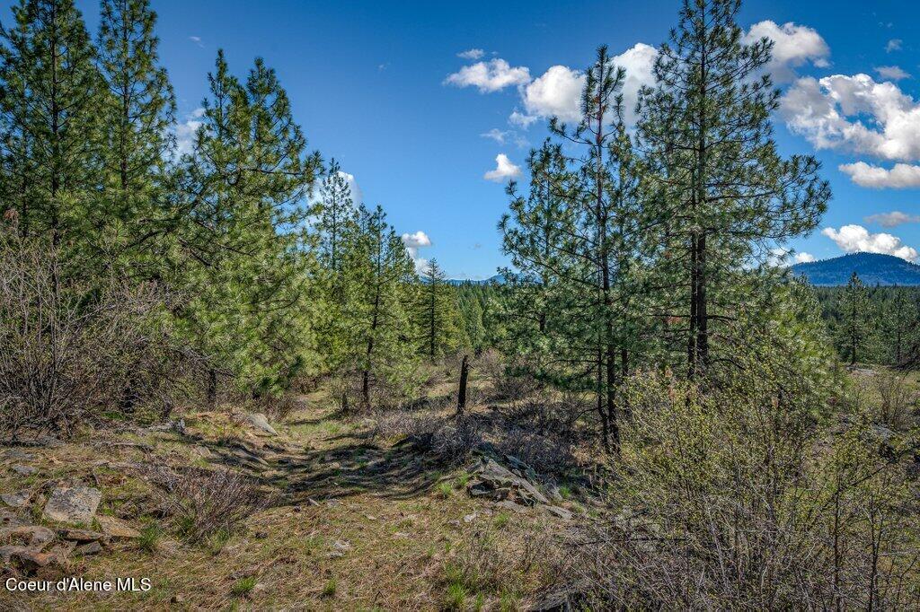 NKA Timbered Ridge Rd