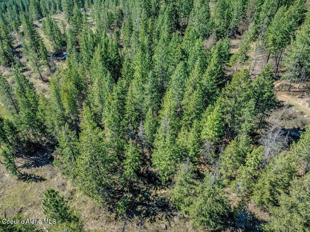 NKA Timbered Ridge Rd
