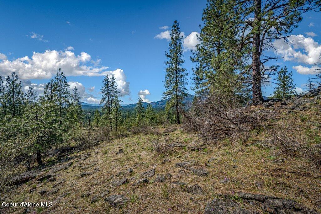 NKA Timbered Ridge Rd