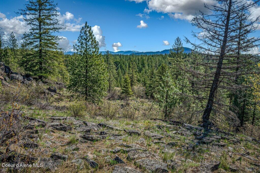 NKA Timbered Ridge Rd