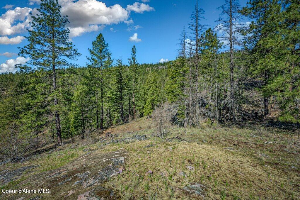NKA Timbered Ridge Rd