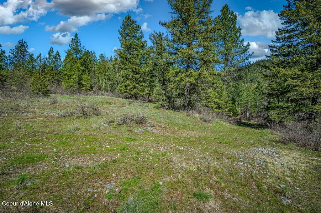 NKA Timbered Ridge Rd