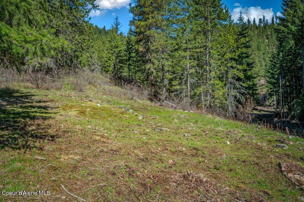 NKA Timbered Ridge Rd