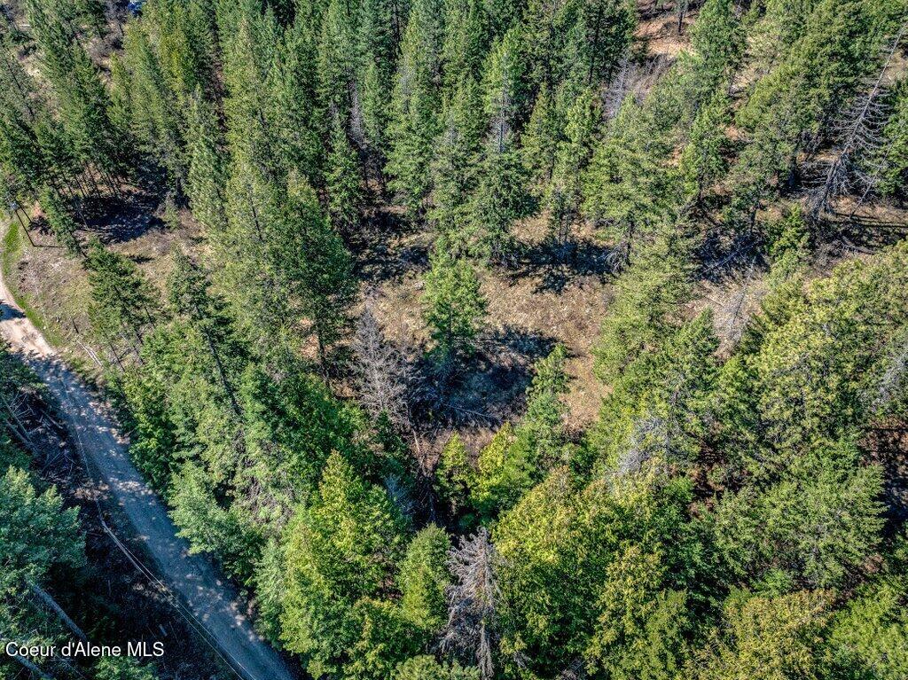 NKA Timbered Ridge Rd
