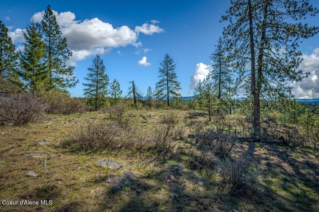 NKA Timbered Ridge Rd