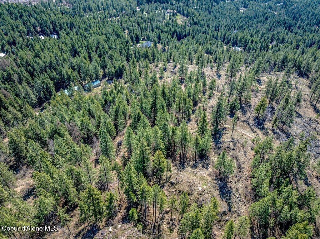 NKA Timbered Ridge Rd
