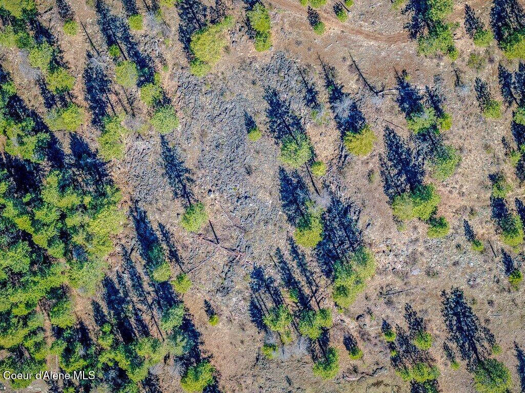NKA Timbered Ridge Rd