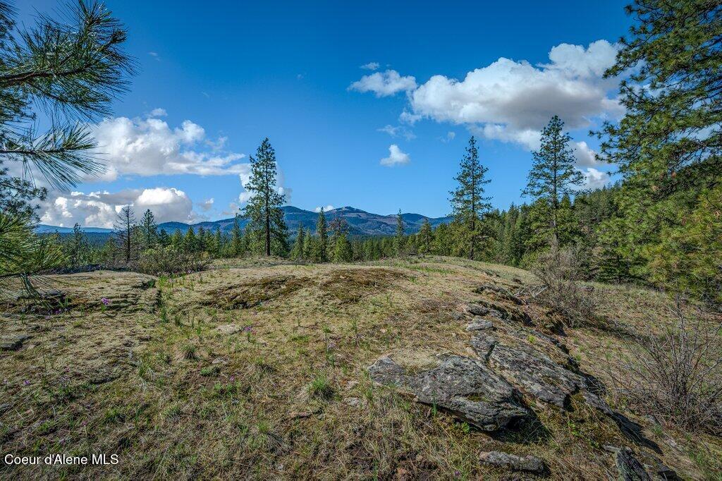 NKA Timbered Ridge Rd