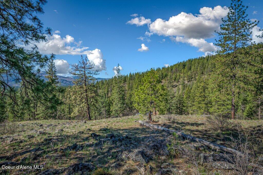 NKA Timbered Ridge Rd