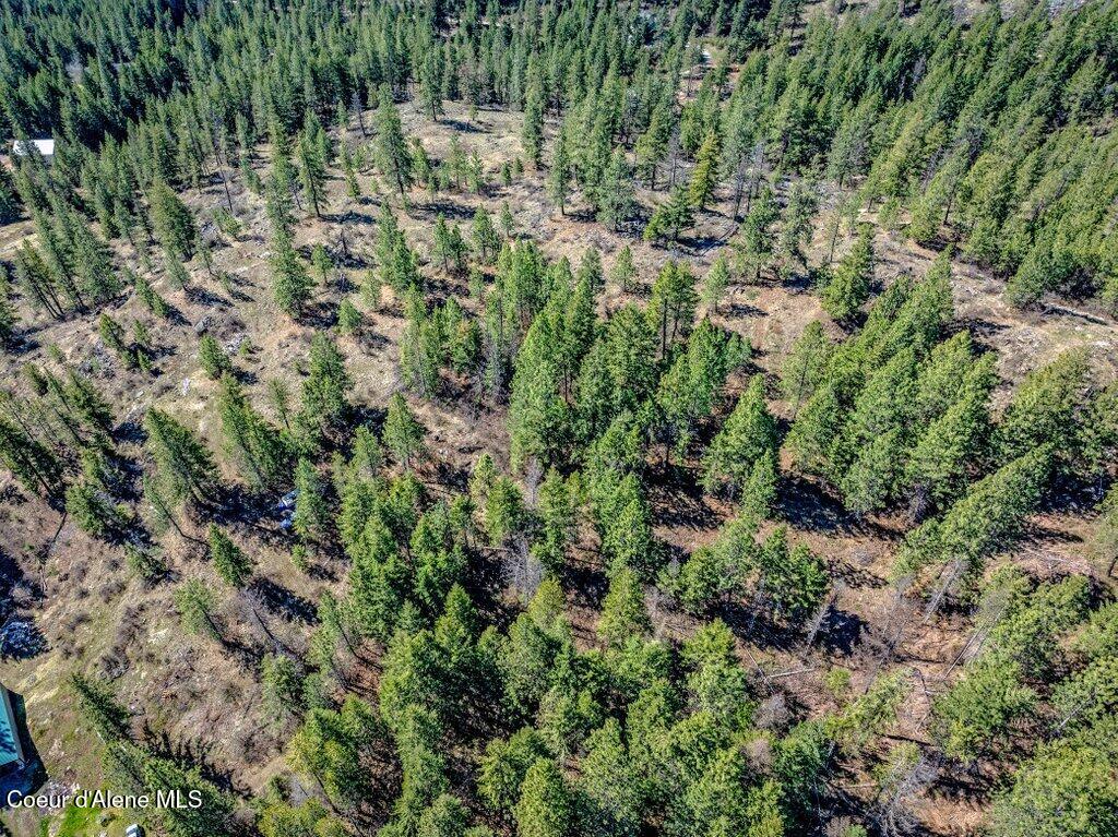 NKA Timbered Ridge Rd